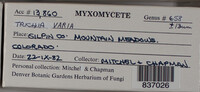 Image Associated With the Occurence